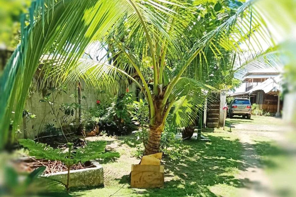 Land for Sale in Maribago, Lapu-Lapu, Cebu – photo 2