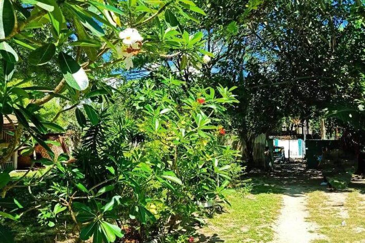 Land for Sale in Maribago, Lapu-Lapu, Cebu – photo 4