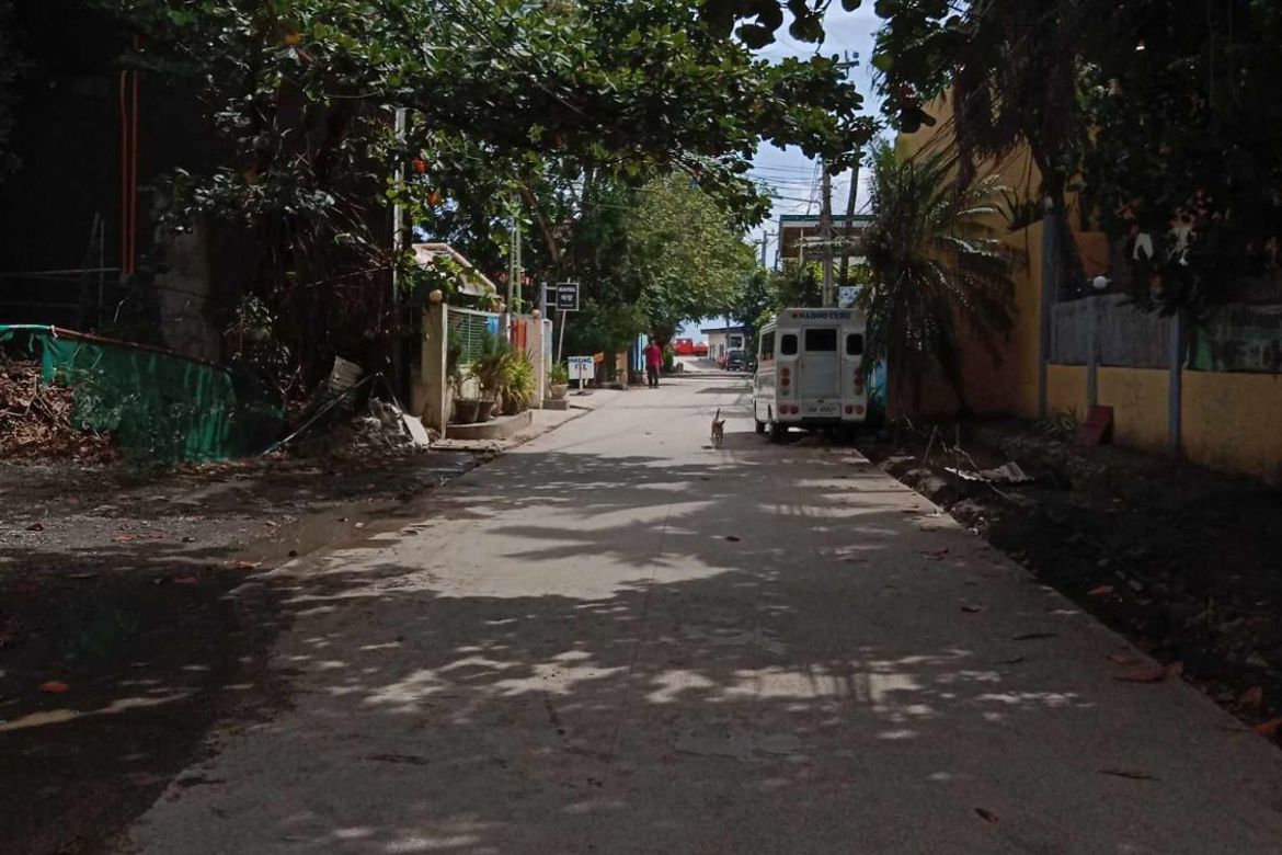 Land for Sale in Maribago, Lapu-Lapu, Cebu – photo 5