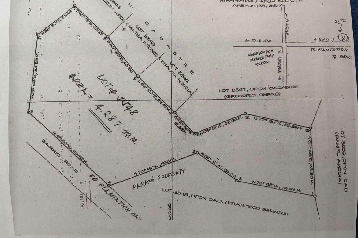 Land for Sale in Marigondon, Lapu-Lapu, Cebu – photo 4