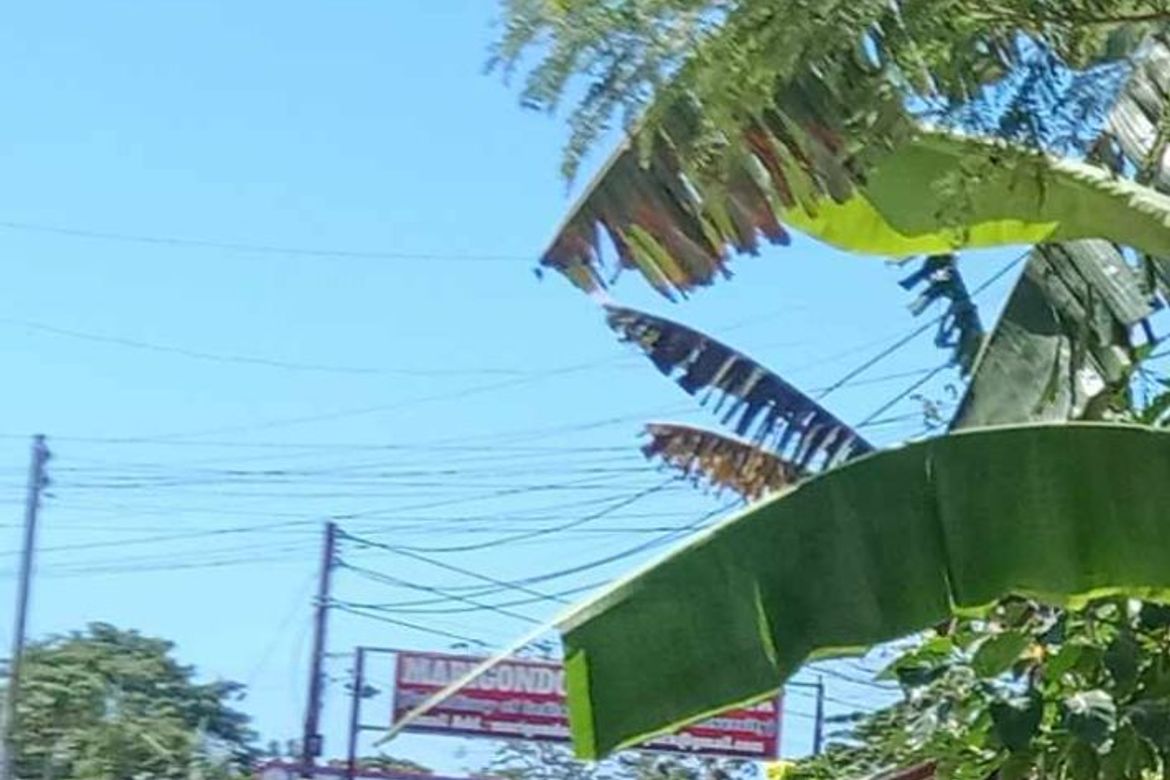 Land for Sale in Marigondon, Lapu-Lapu, Cebu – photo 5