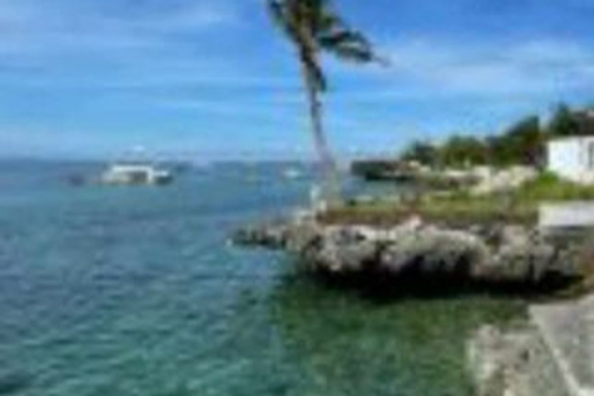 Land for Sale in Marigondon, Lapu-Lapu, Cebu – photo 3