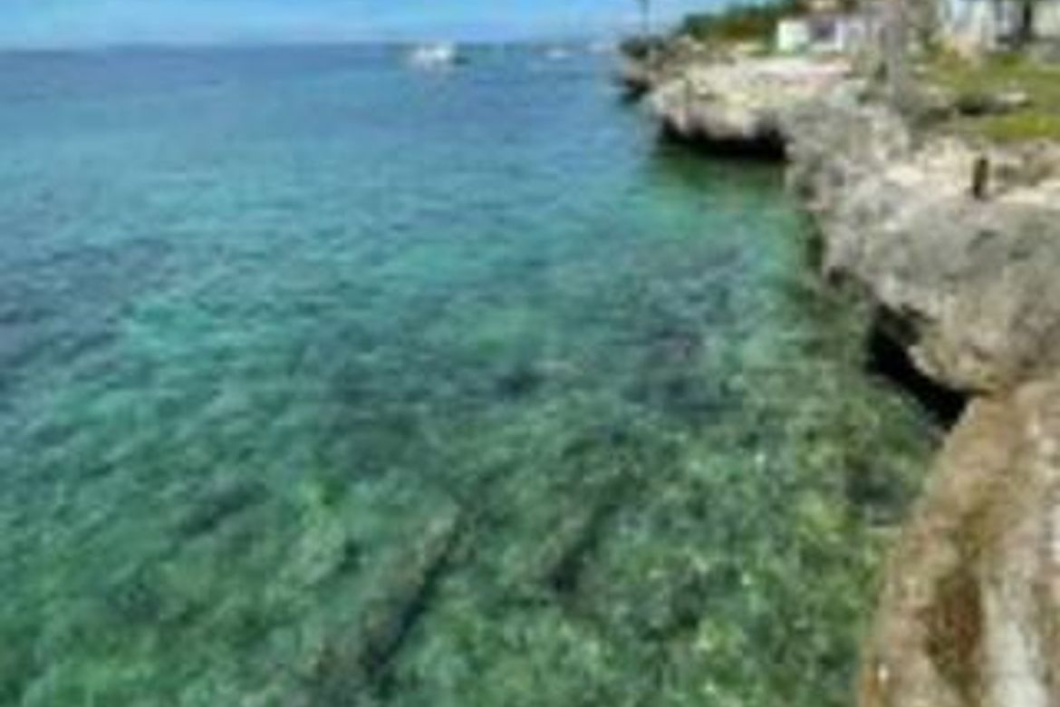 Land for Sale in Marigondon, Lapu-Lapu, Cebu – photo 4