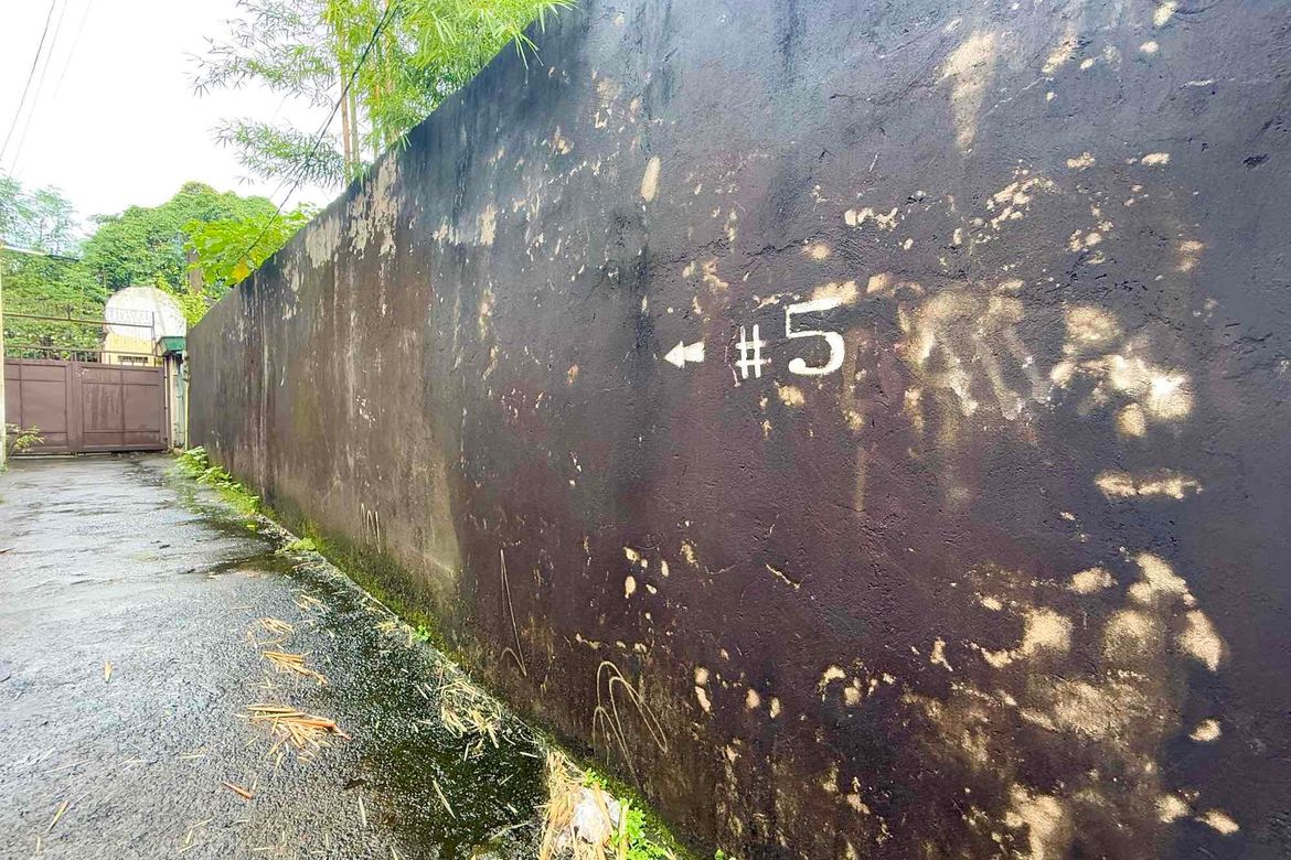 Land for Sale in Marilag, Quezon City, Metro Manila near LRT-2 Katipunan – photo 8