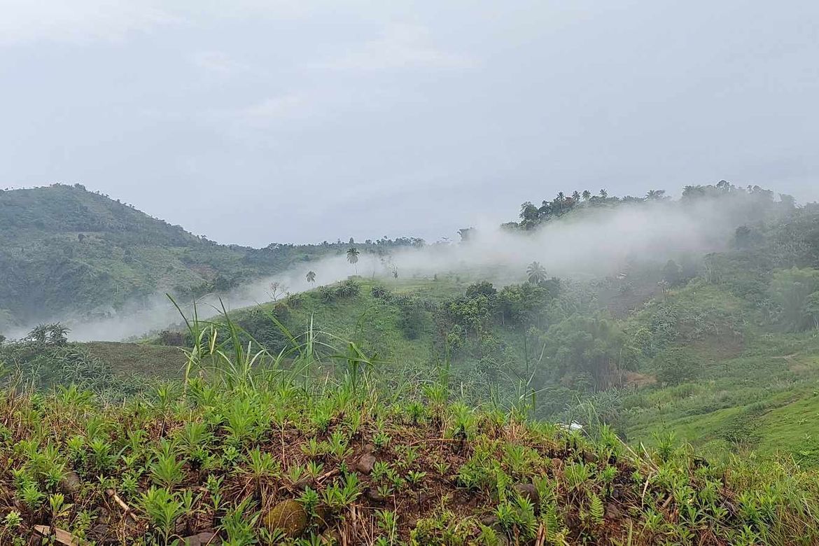 Land for Sale in Marilog, Davao City, Davao del Sur – photo 3