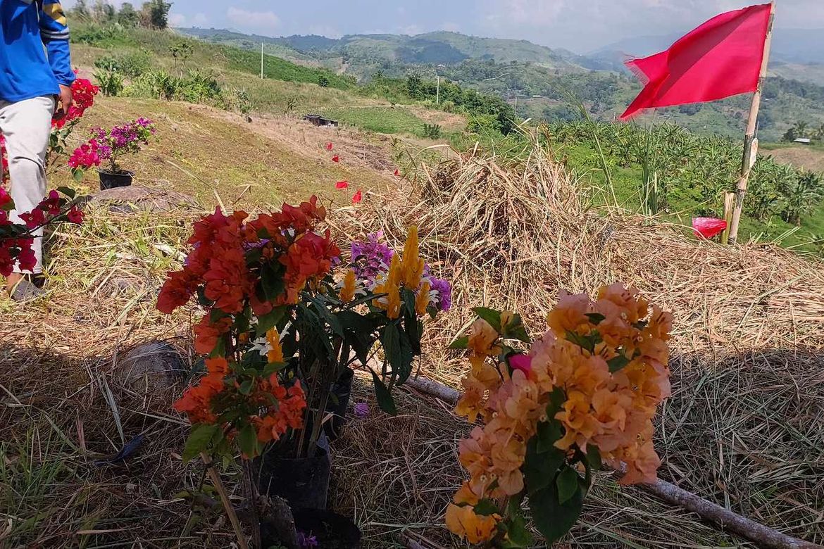 Land for Sale in Marilog, Davao City, Davao del Sur – photo 4