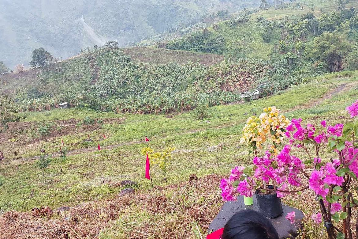 Land for Sale in Marilog, Davao City, Davao del Sur – photo 8