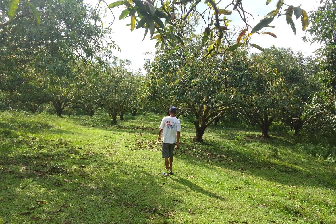 Land for Sale in Marilog, Davao City, Davao del Sur – photo 4