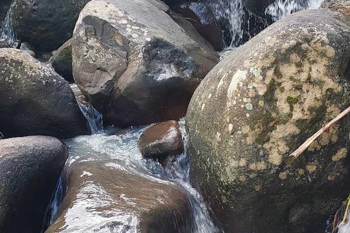 Land for Sale in Marilog, Davao City, Davao del Sur – photo 7