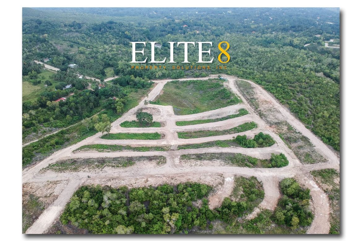 Land for Sale in Mariveles, Dauis, Bohol – photo 4