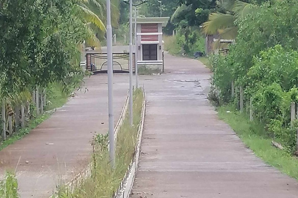 Land for Sale in Mariveles, Dauis, Bohol – photo 5