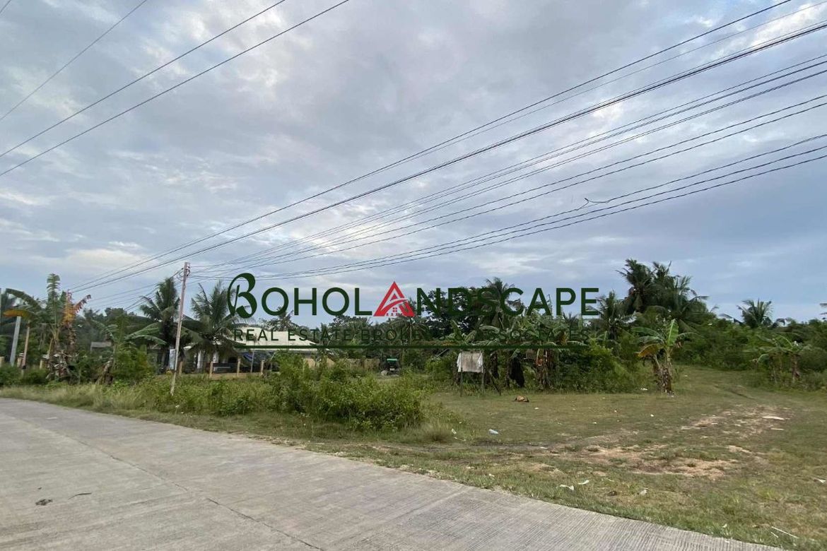 Land for Sale in Mariveles, Dauis, Bohol