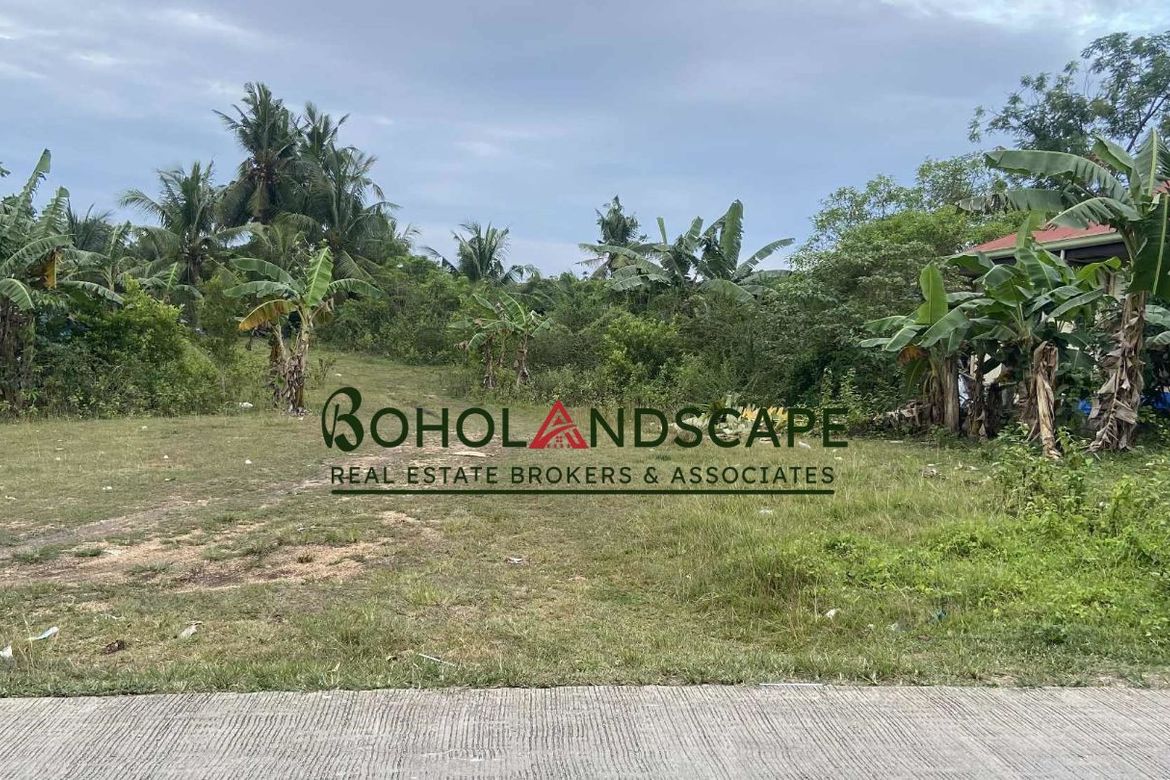 Land for Sale in Mariveles, Dauis, Bohol – photo 4