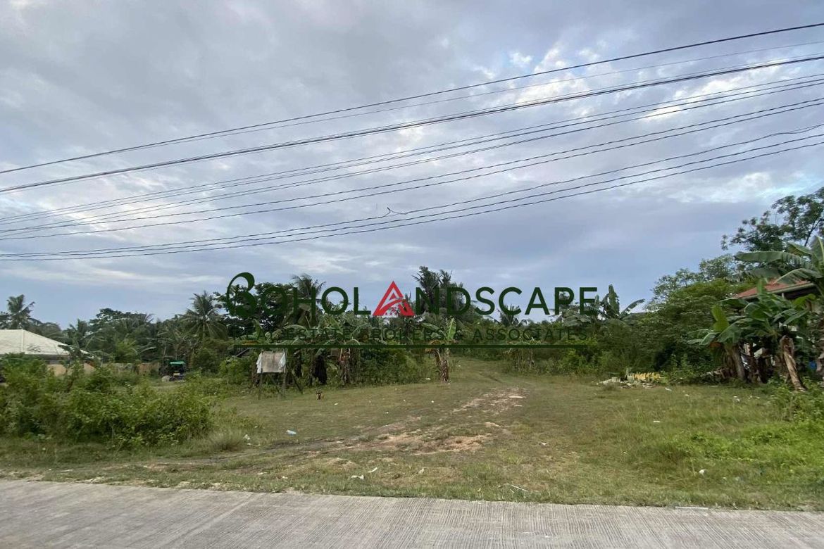 Land for Sale in Mariveles, Dauis, Bohol – photo 5