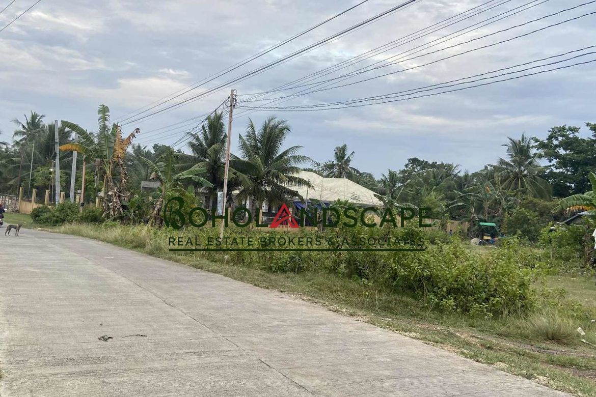 Land for Sale in Mariveles, Dauis, Bohol – photo 6