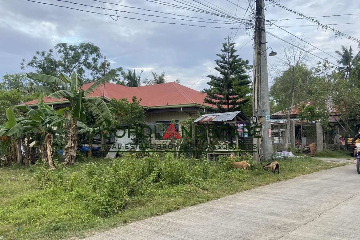 Land for Sale in Mariveles, Dauis, Bohol – photo 7