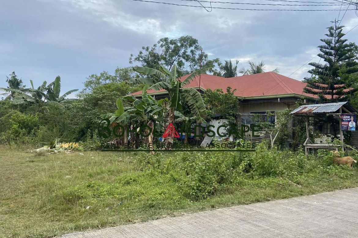 Land for Sale in Mariveles, Dauis, Bohol – photo 8