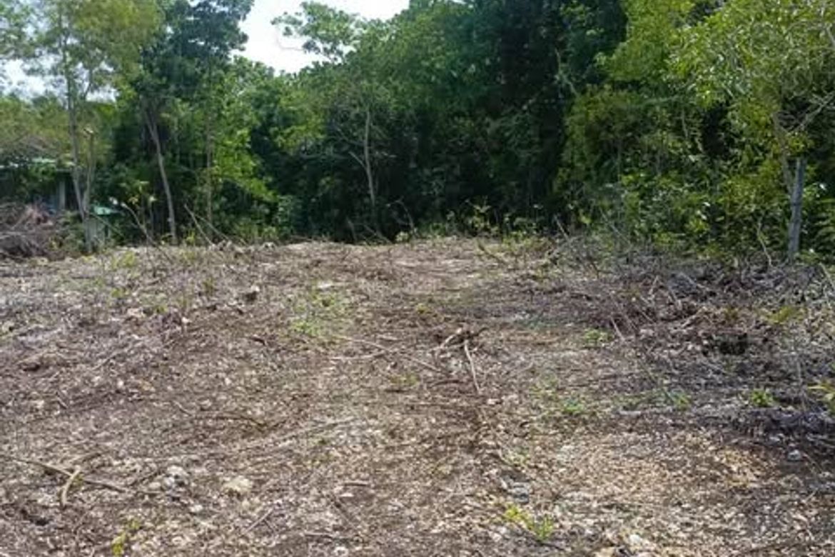 Land for Sale in Mariveles, Dauis, Bohol – photo 2