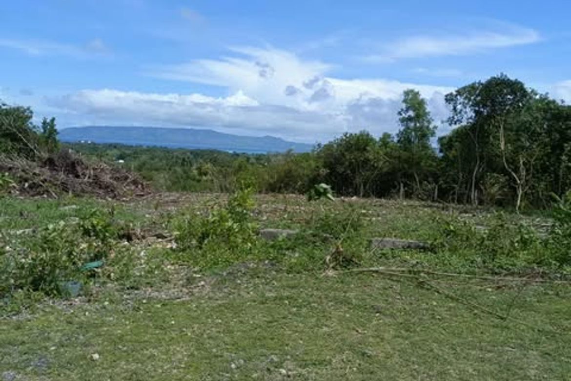 Land for Sale in Mariveles, Dauis, Bohol – photo 5