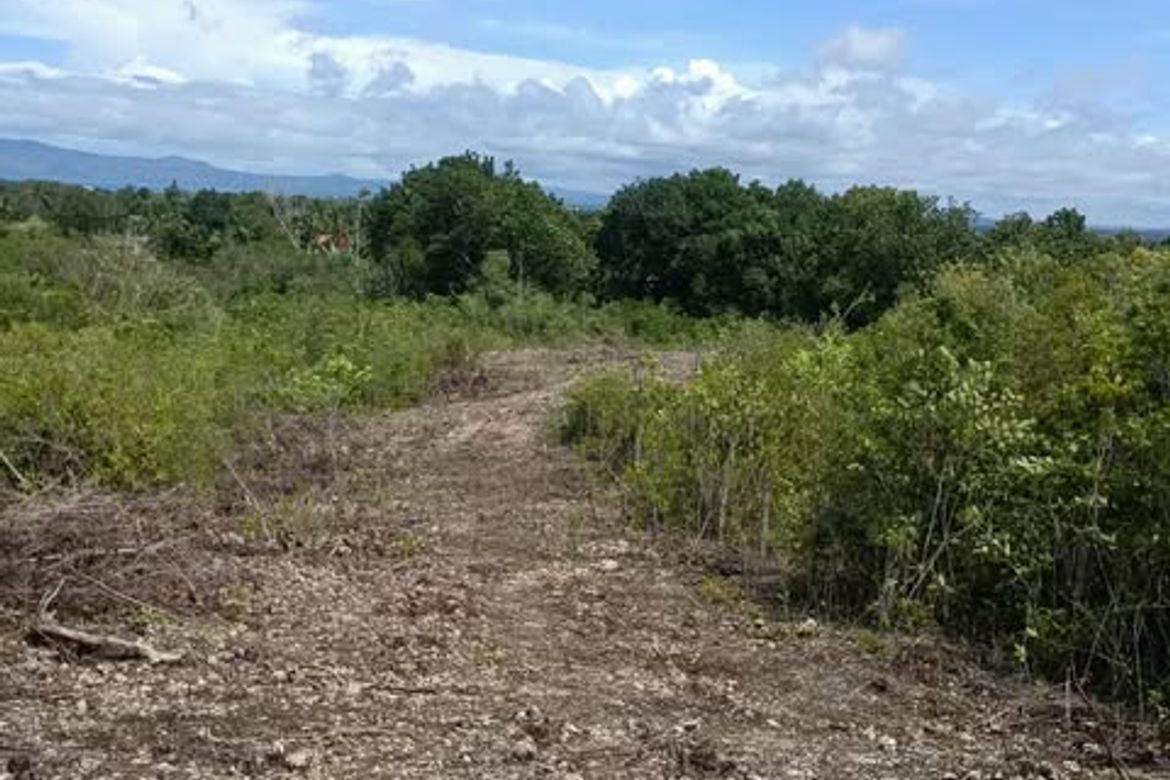 Land for Sale in Mariveles, Dauis, Bohol – photo 6