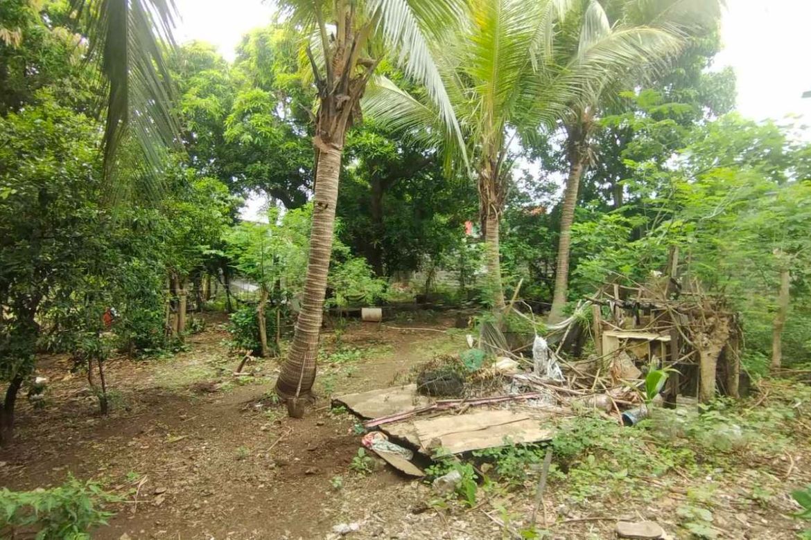 Land for Sale in Marulas, Valenzuela, Metro Manila – photo 2