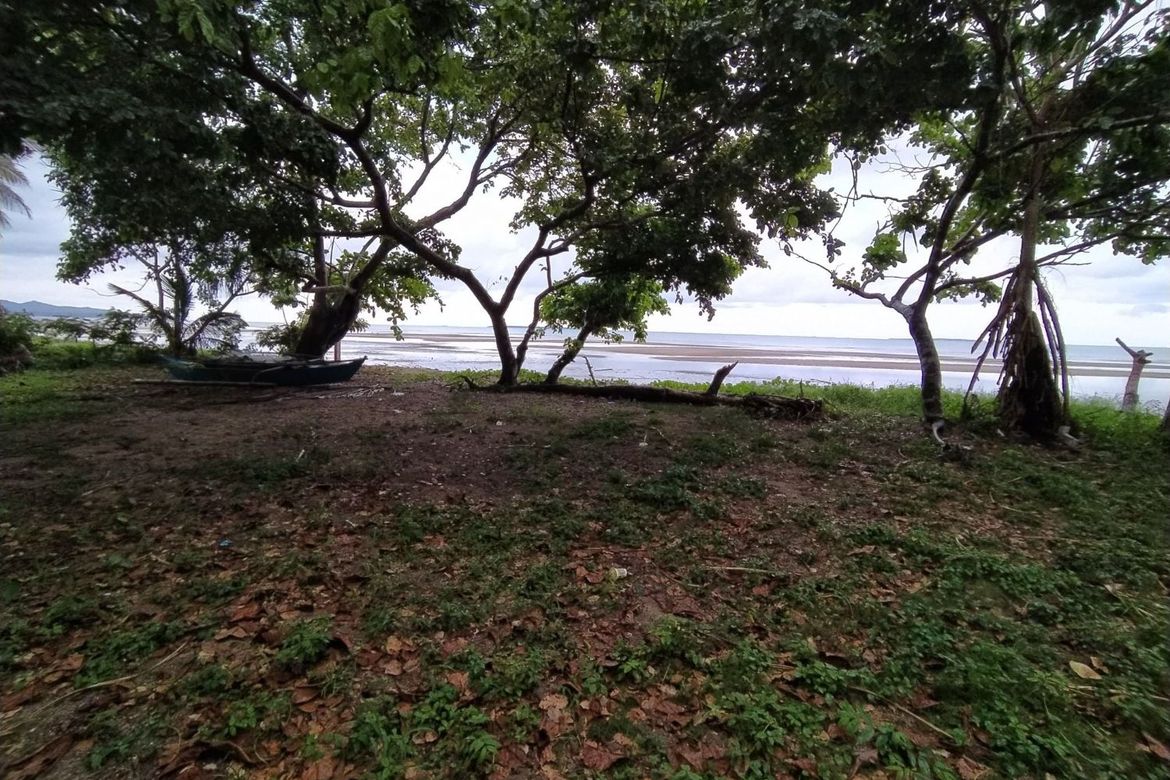 Land for Sale in Maruyogon, Puerto Princesa, Palawan