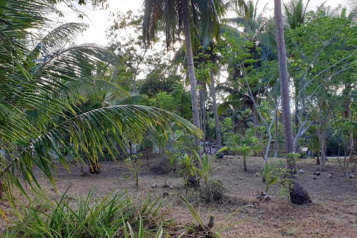 Land for Sale in Maruyogon, Puerto Princesa, Palawan – photo 2