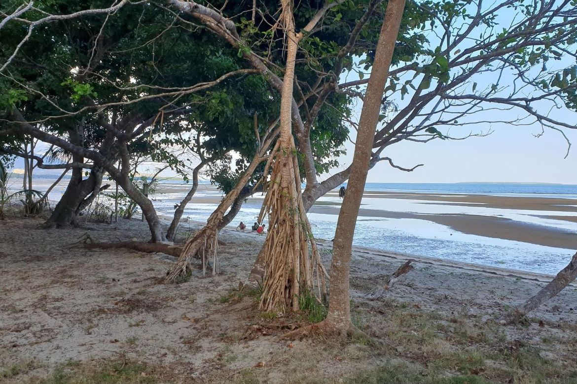 Land for Sale in Maruyogon, Puerto Princesa, Palawan – photo 5