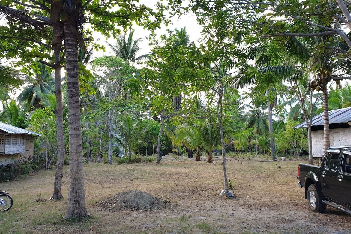 Land for Sale in Maruyogon, Puerto Princesa, Palawan – photo 6