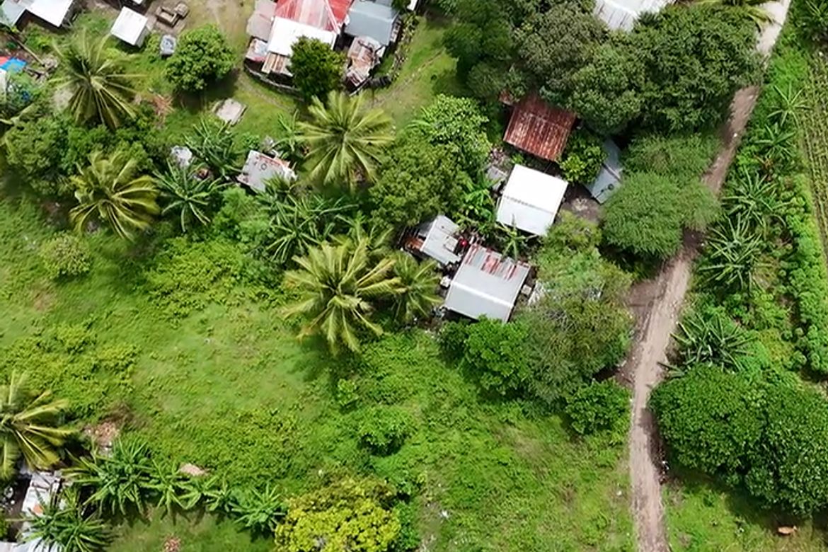 Land for Sale in Masaplod Norte, Dauin, Negros Oriental – photo 5