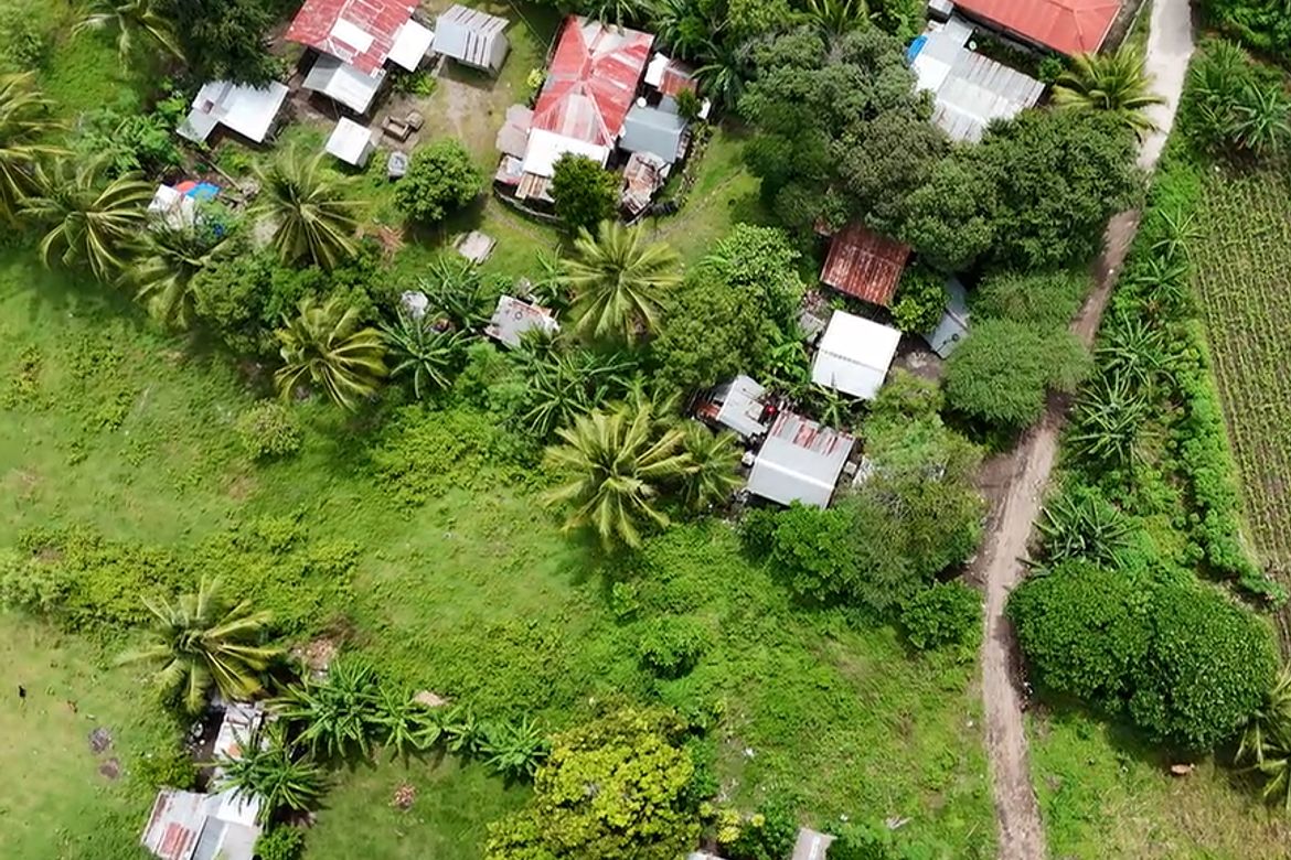 Land for Sale in Masaplod Norte, Dauin, Negros Oriental – photo 7