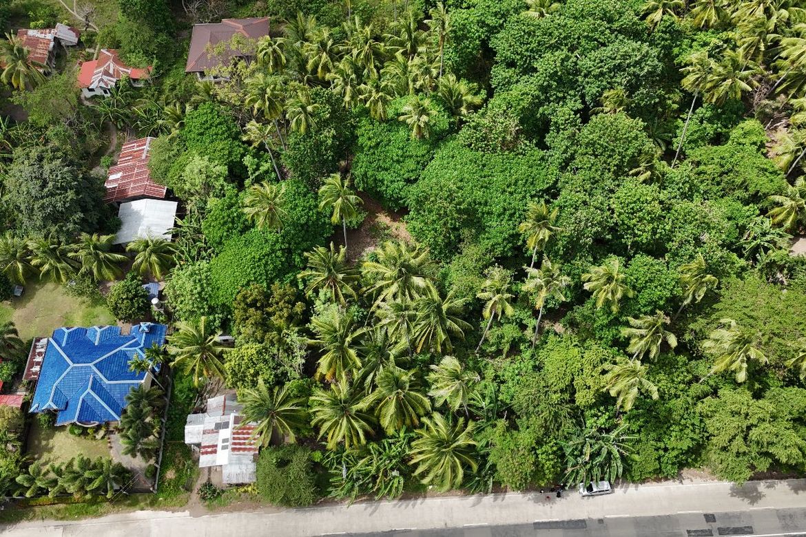 Land for Sale in Masaplod Norte, Dauin, Negros Oriental – photo 2