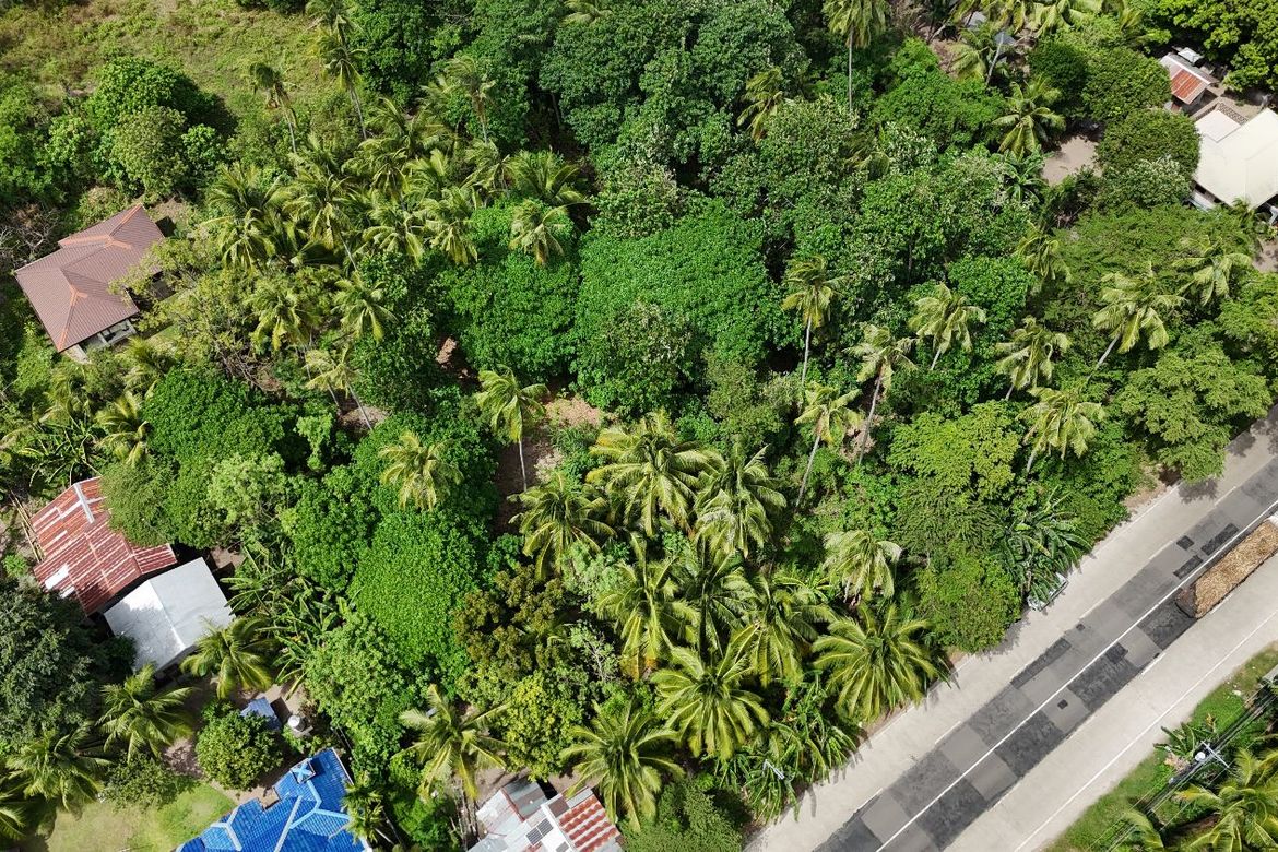 Land for Sale in Masaplod Norte, Dauin, Negros Oriental – photo 3