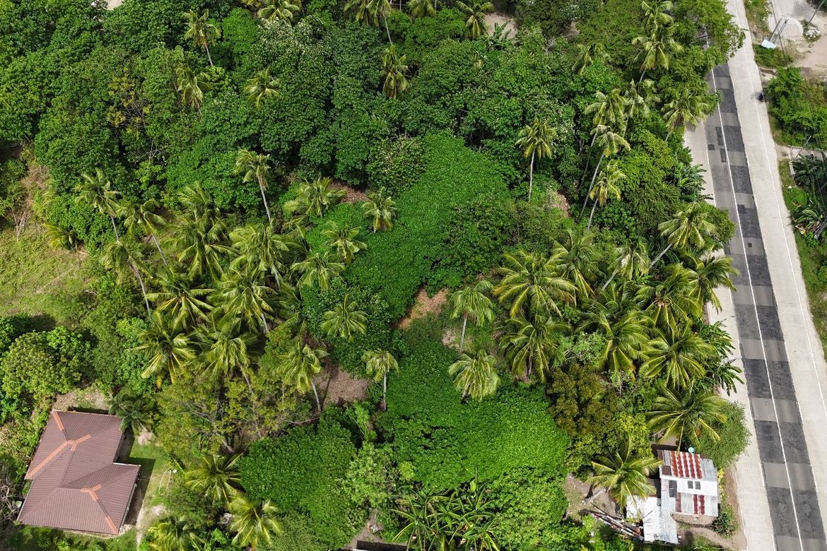 Land for Sale in Masaplod Norte, Dauin, Negros Oriental – photo 4