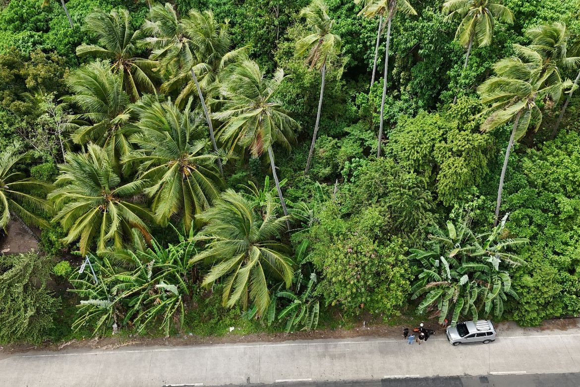 Land for Sale in Masaplod Norte, Dauin, Negros Oriental – photo 8