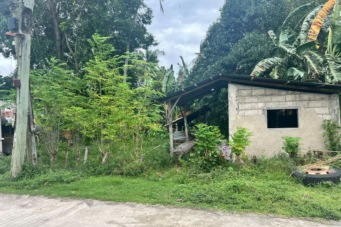 Land for Sale in Masaplod Norte, Dauin, Negros Oriental – photo 3