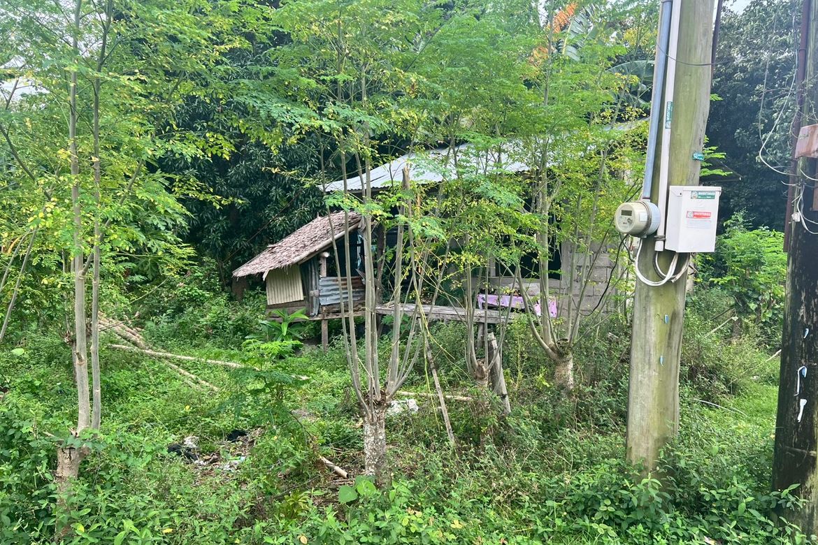 Land for Sale in Masaplod Norte, Dauin, Negros Oriental – photo 5