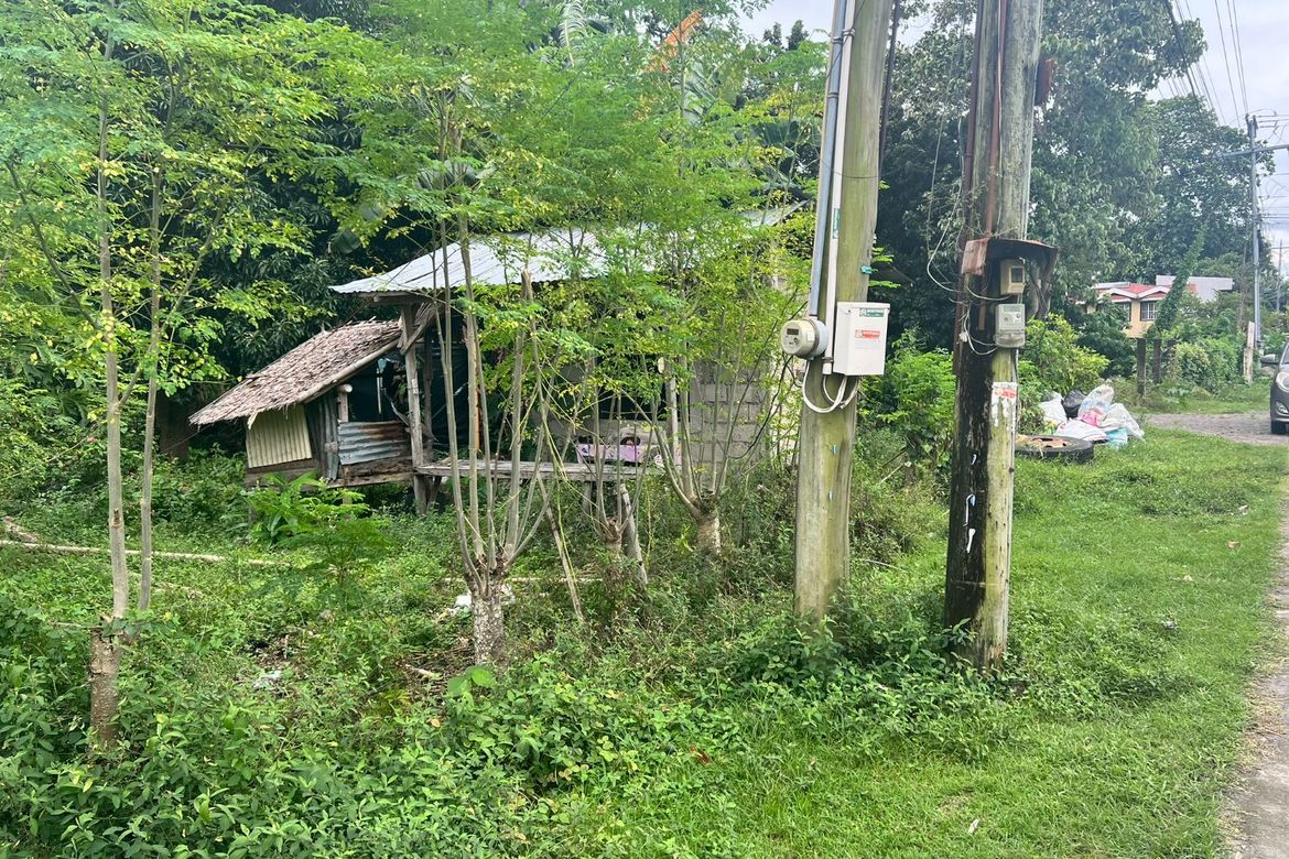 Land for Sale in Masaplod Norte, Dauin, Negros Oriental – photo 6