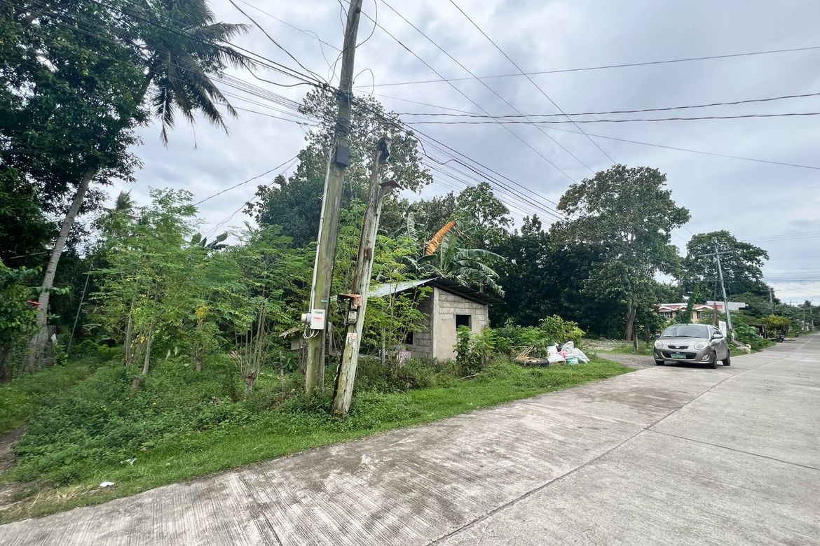 Land for Sale in Masaplod Norte, Dauin, Negros Oriental – photo 7