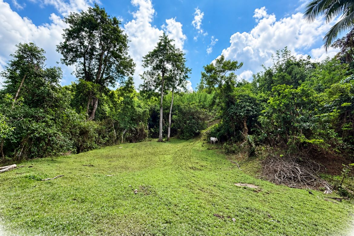 Land for Sale in Masiit, Calauan, Laguna