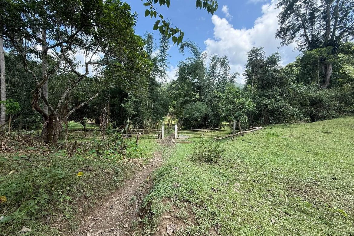Land for Sale in Masiit, Calauan, Laguna – photo 2