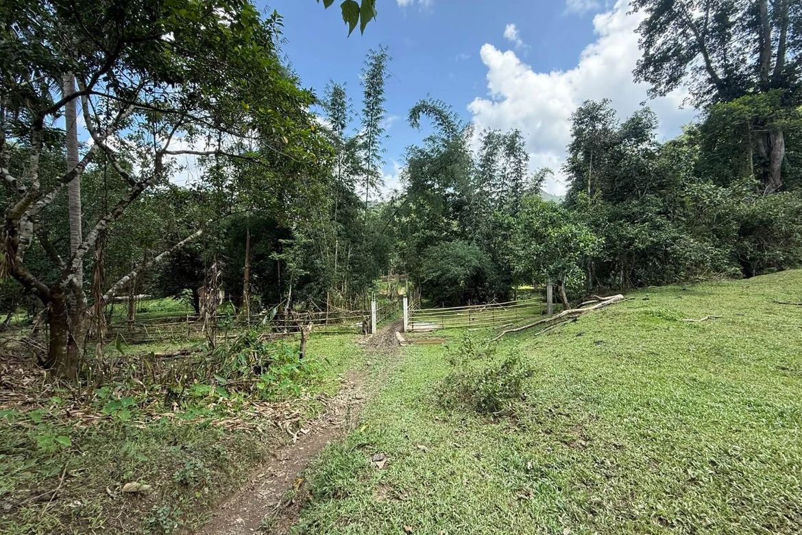 Land for Sale in Masiit, Calauan, Laguna – photo 4