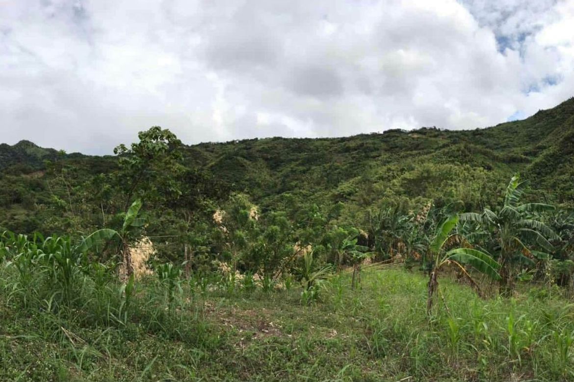 Land for Sale in Masiit, Calauan, Laguna – photo 6