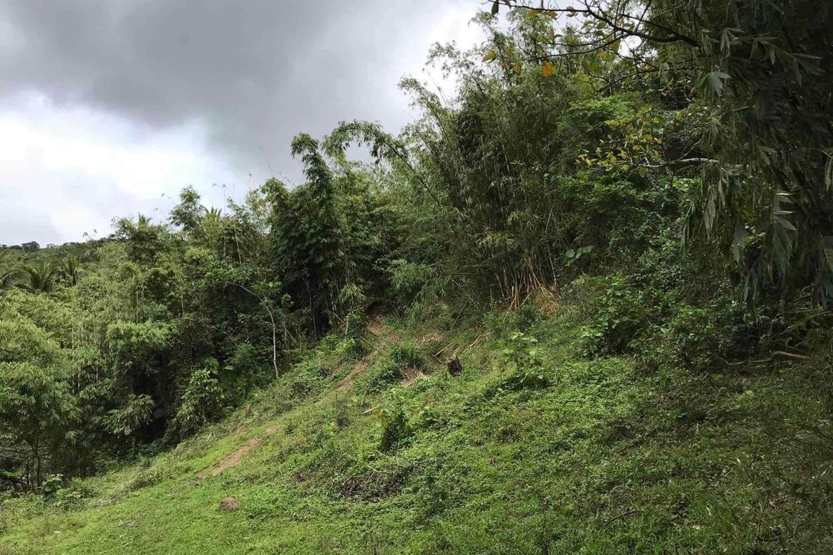 Land for Sale in Masiit, Calauan, Laguna – photo 7