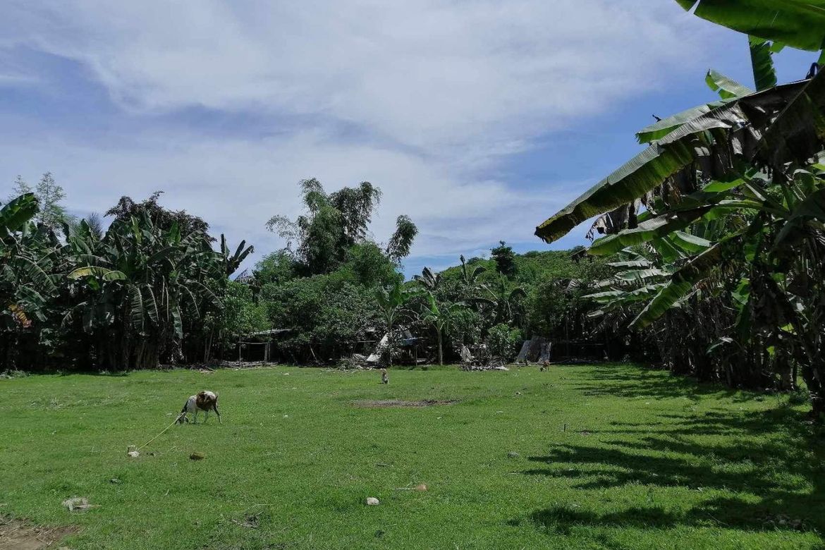 Land for Sale in Maslog, Danao, Cebu – photo 5