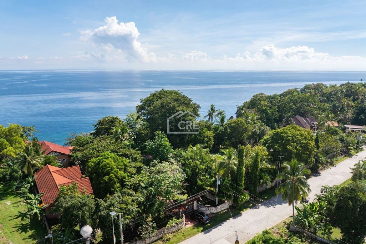 Land for Sale in Maslog, Tabogon, Cebu – photo 3