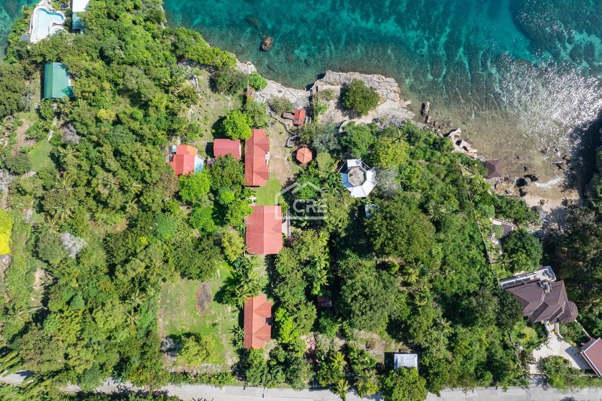 Land for Sale in Maslog, Tabogon, Cebu – photo 4