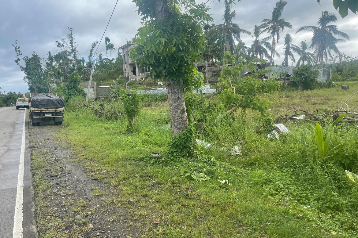 Land for Sale in Maslog, Tomas Oppus, Southern Leyte – photo 2
