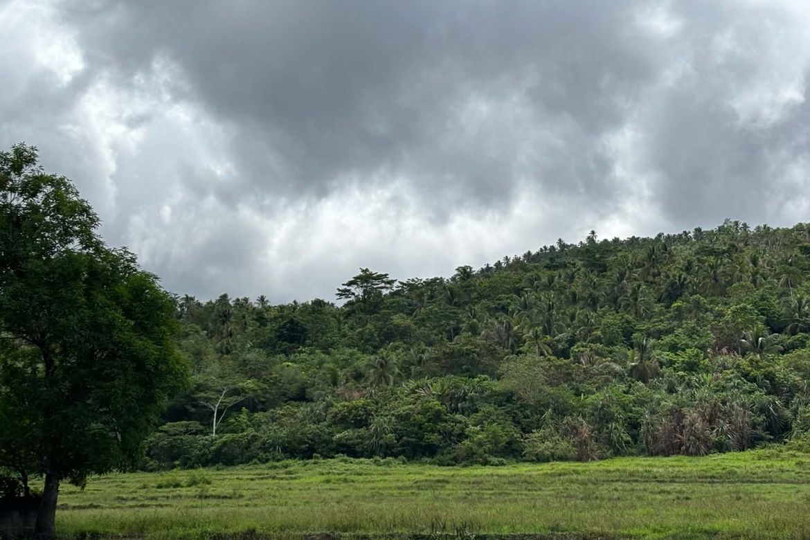 Land for Sale in Mat-I, Surigao City, Surigao del Norte
