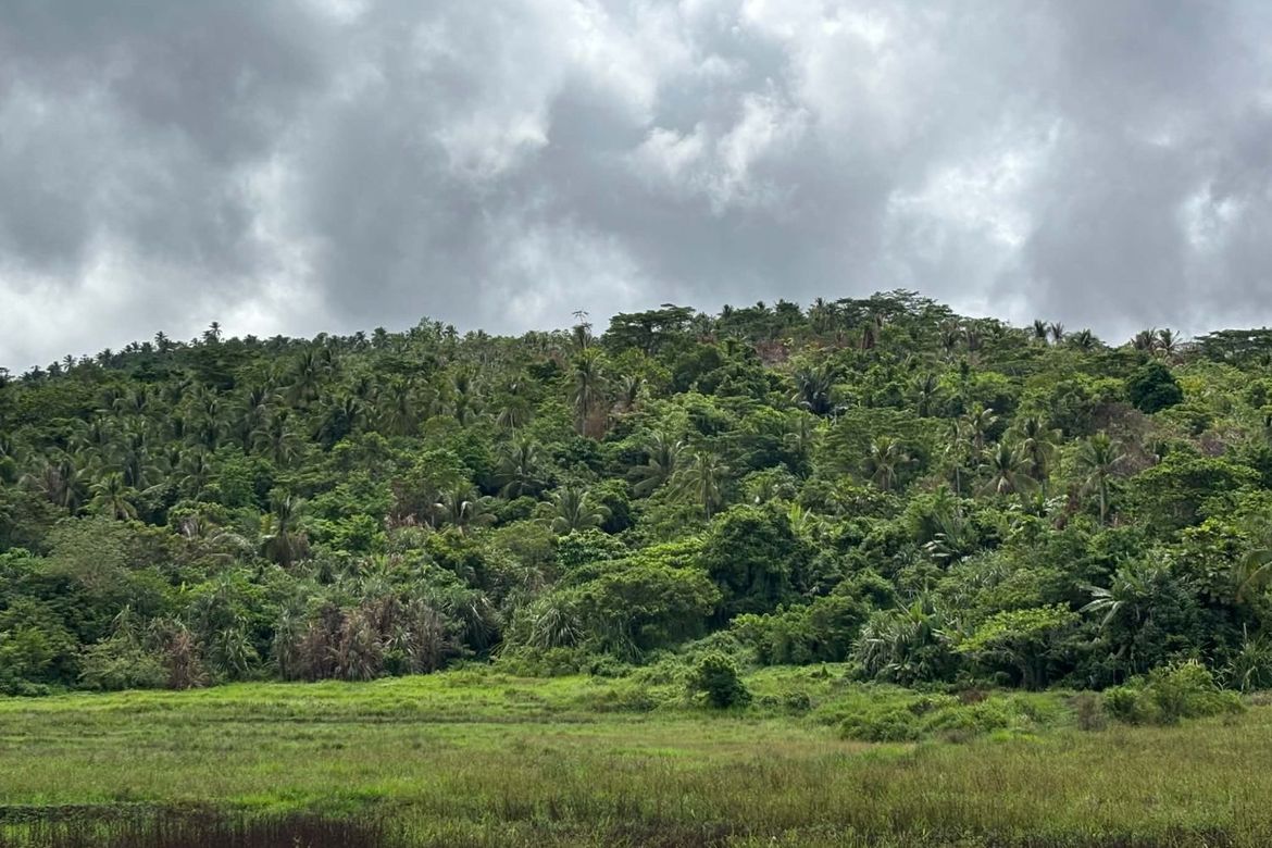 Land for Sale in Mat-I, Surigao City, Surigao del Norte – photo 3